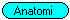 Hundens anatomi